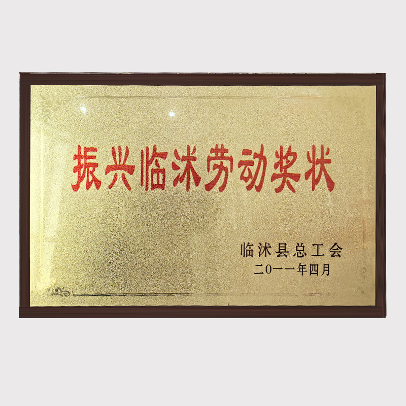 振兴临沭劳动奖状